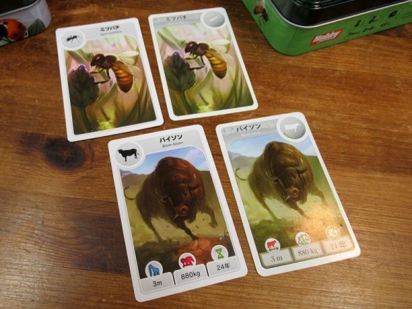 画像2: カードライン:動物編 日本語版 (2)