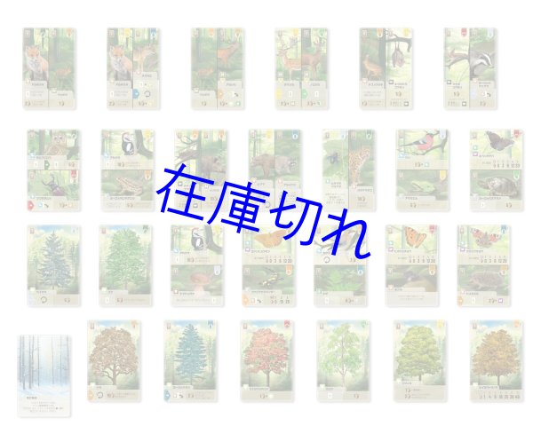 画像2: フォレストシャッフル 日本語版 (2)