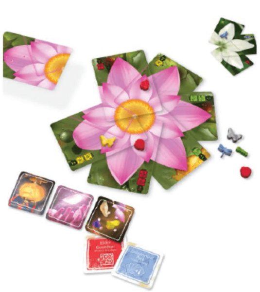 画像2: ロータス 日本語版 (2)