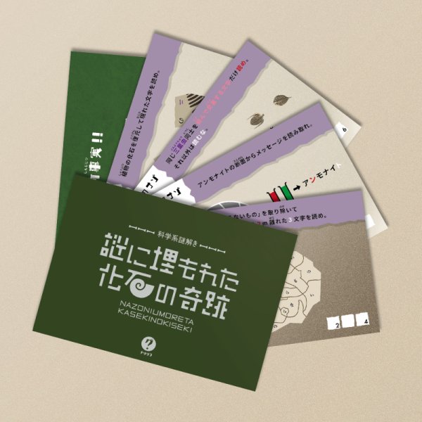 画像2: <ナゾグラ>科学系謎解き 謎に埋もれた化石の奇跡 (2)