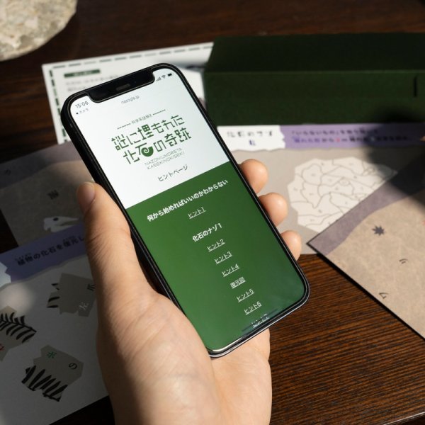 画像3: <ナゾグラ>科学系謎解き 謎に埋もれた化石の奇跡 (3)