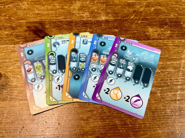 画像2: シヴォリューション (2)