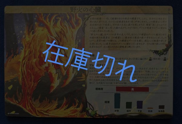 画像2: スピリット・アイランド 羽根と炎 日本語版 (2)
