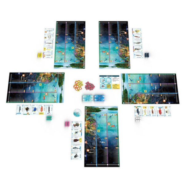 画像2: フィンスパン (2)