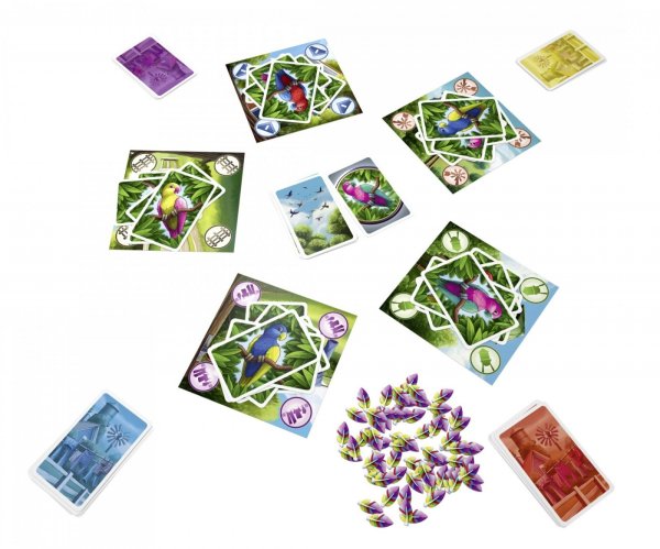 画像2: オウムさがし (2)