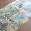 画像3: テラ・ファンタジア：熱帯雨林の観察記 (3)