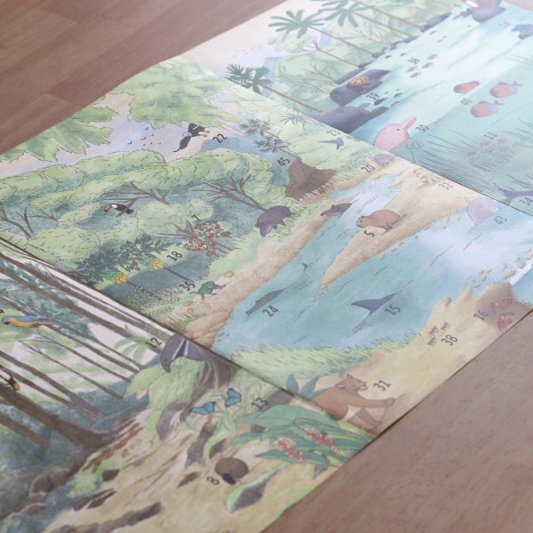 画像3: テラ・ファンタジア：熱帯雨林の観察記 (3)