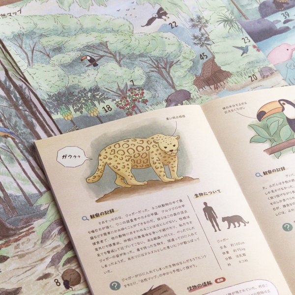 画像2: テラ・ファンタジア：熱帯雨林の観察記 (2)