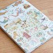 画像1: Terra Fantasia｜テラ・ファンタジア (1)
