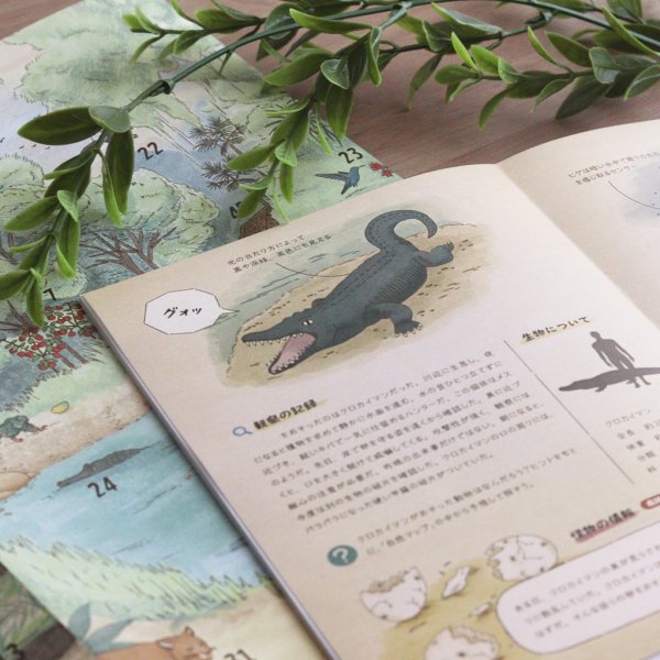 画像4: テラ・ファンタジア：熱帯雨林の観察記 (4)