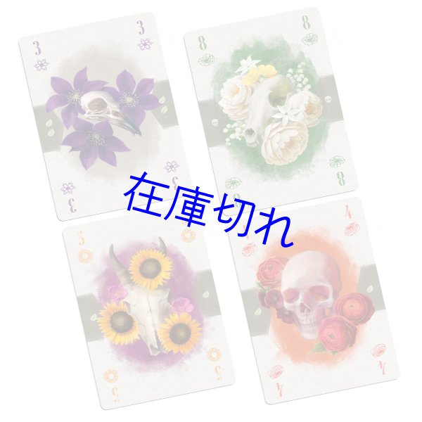 画像3: モリ　多言語版 (3)