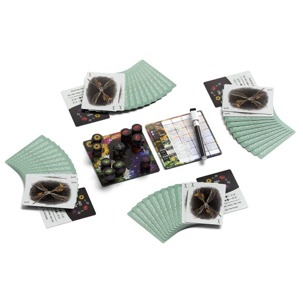 画像2: モリ　多言語版 (2)