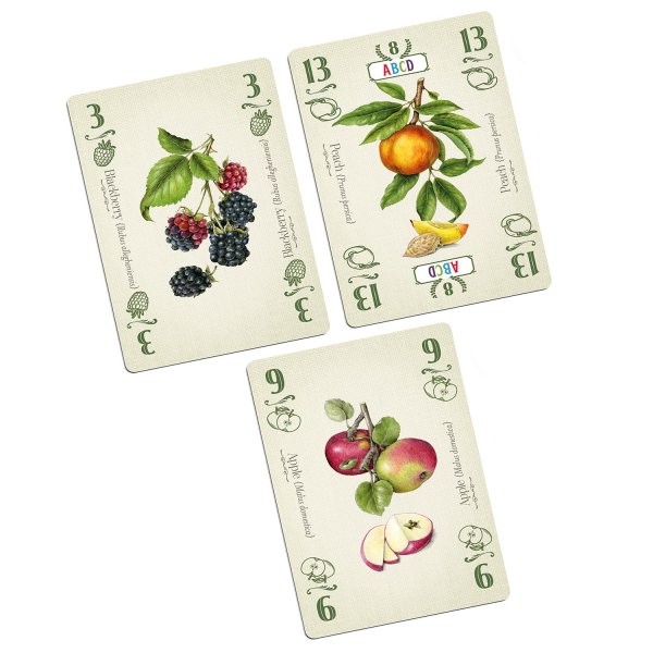 画像3: パイ　多言語版 (3)