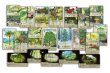 画像2: フォレストシャッフル：実地調査　日本語版【8月下旬発売予定】 (2)