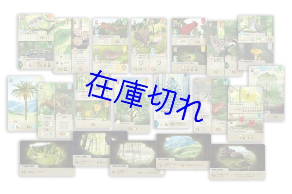 画像2: フォレストシャッフル：実地調査　日本語版 (2)