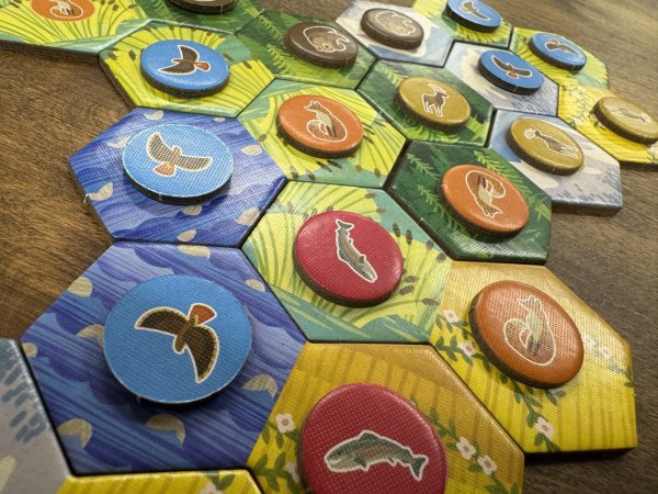 画像3: カスカディア　ジュニア (3)