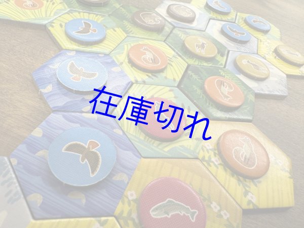 画像3: カスカディア　ジュニア (3)