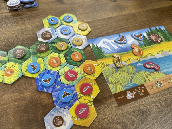 画像2: カスカディア　ジュニア (2)