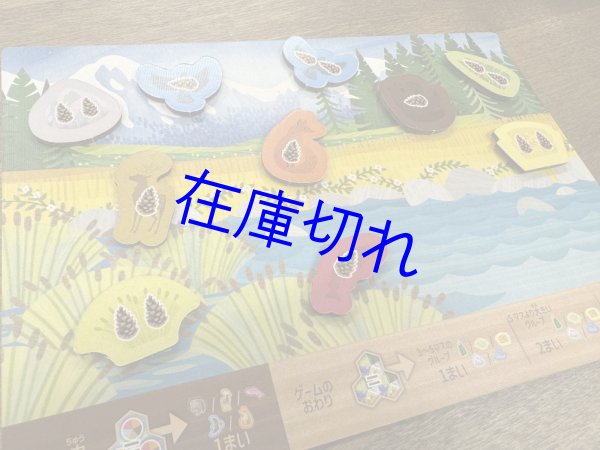 画像4: カスカディア　ジュニア (4)