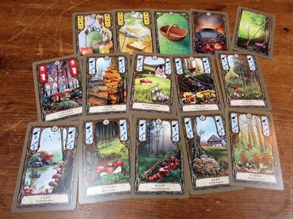 画像3: フンギ (3)