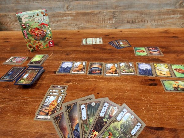 画像4: フンギ (4)