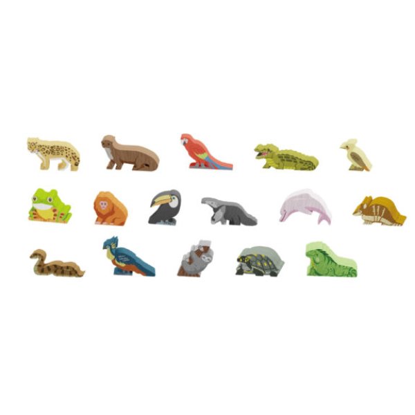 画像3: ライフ・オブ・ジ・アマゾニア【12月19日発売予定】 (3)