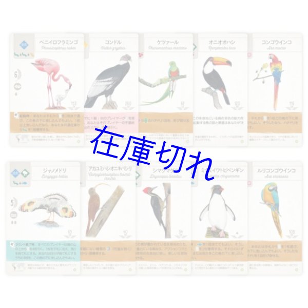 画像3: ウイングスパン 中南米の翼【4月10日発売予定】 (3)