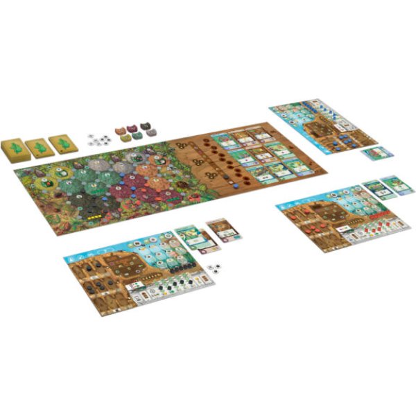 画像2: アンツ【7月10日発売予定】 (2)