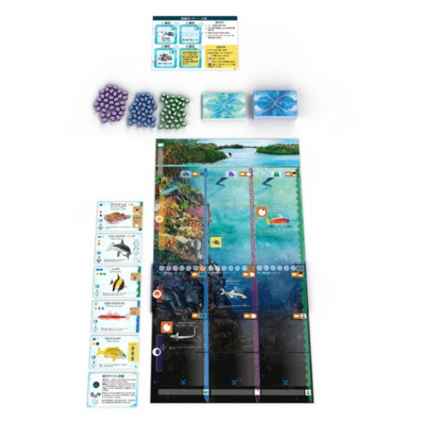 画像3: フィンスパン拡張：サメとサンゴ礁【10月23日発売予定】 (3)